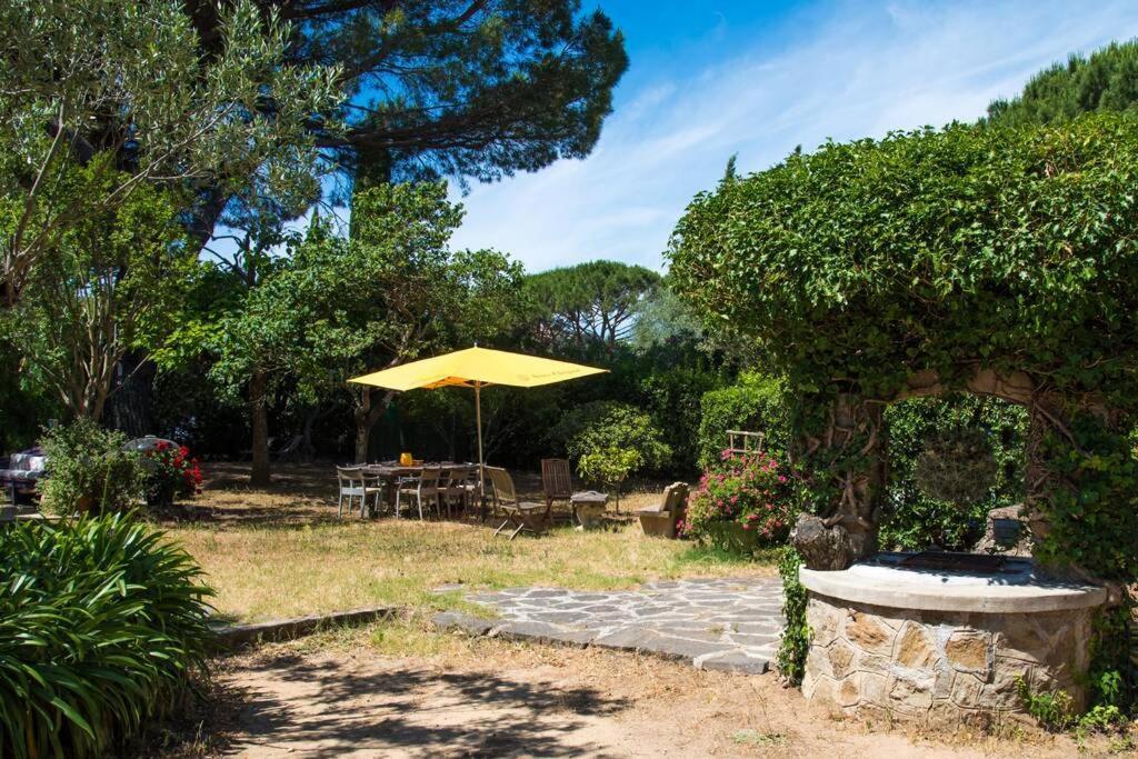 Suite Tropezienne Saint-Tropez Exterior foto